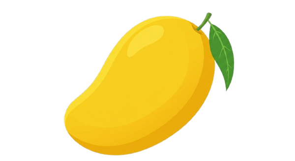 Sindhri Mango